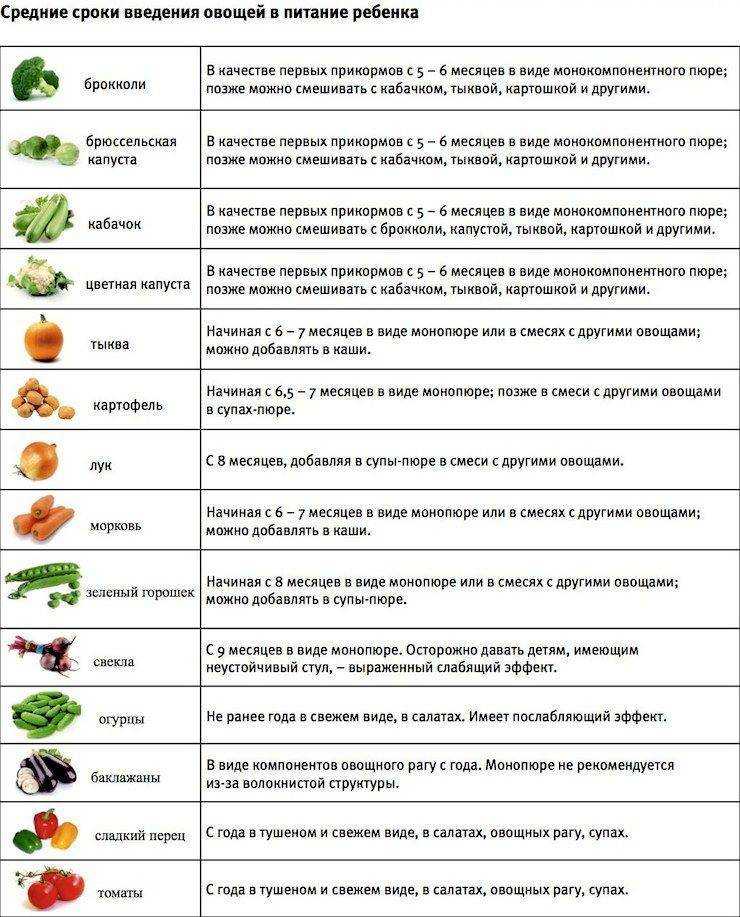 Можно ли детям давать грибы и какие?