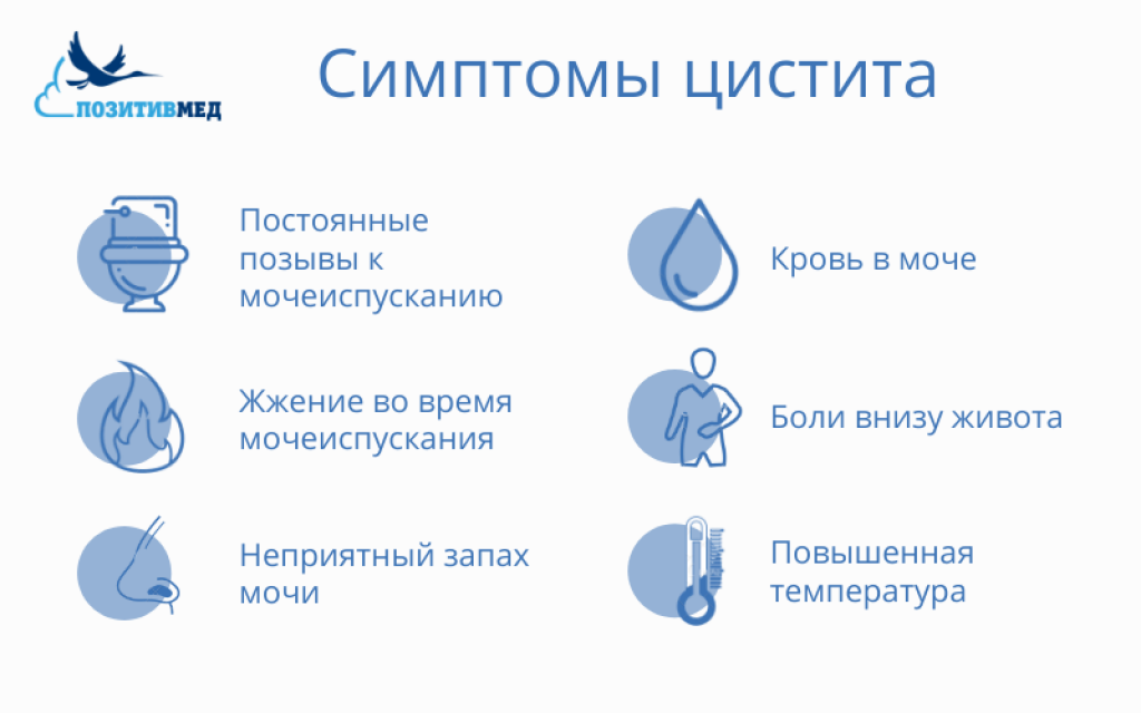 Как быстро высушить обувь после дождя | энциклопедия обуви