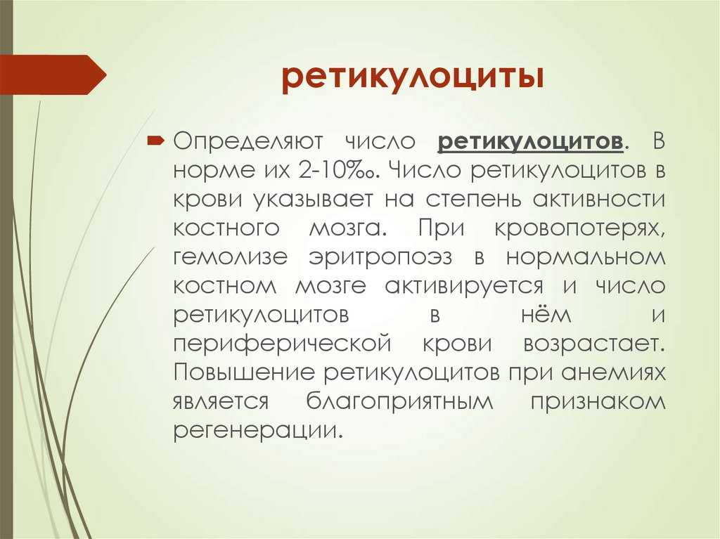 Ретикулоциты в анализе крови: расшифровка и причины отклонения