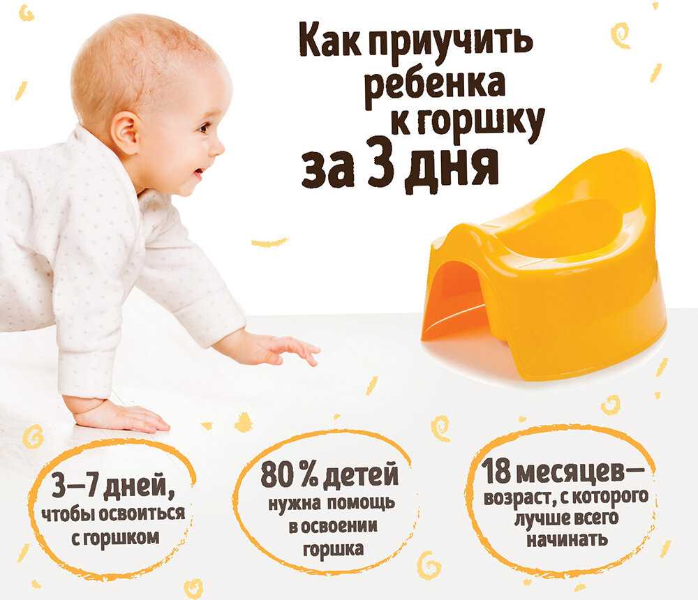 Как и когда нужно приучать ребенка к горшку. приучаем быстро и правильно в 1,5 и в 2 года