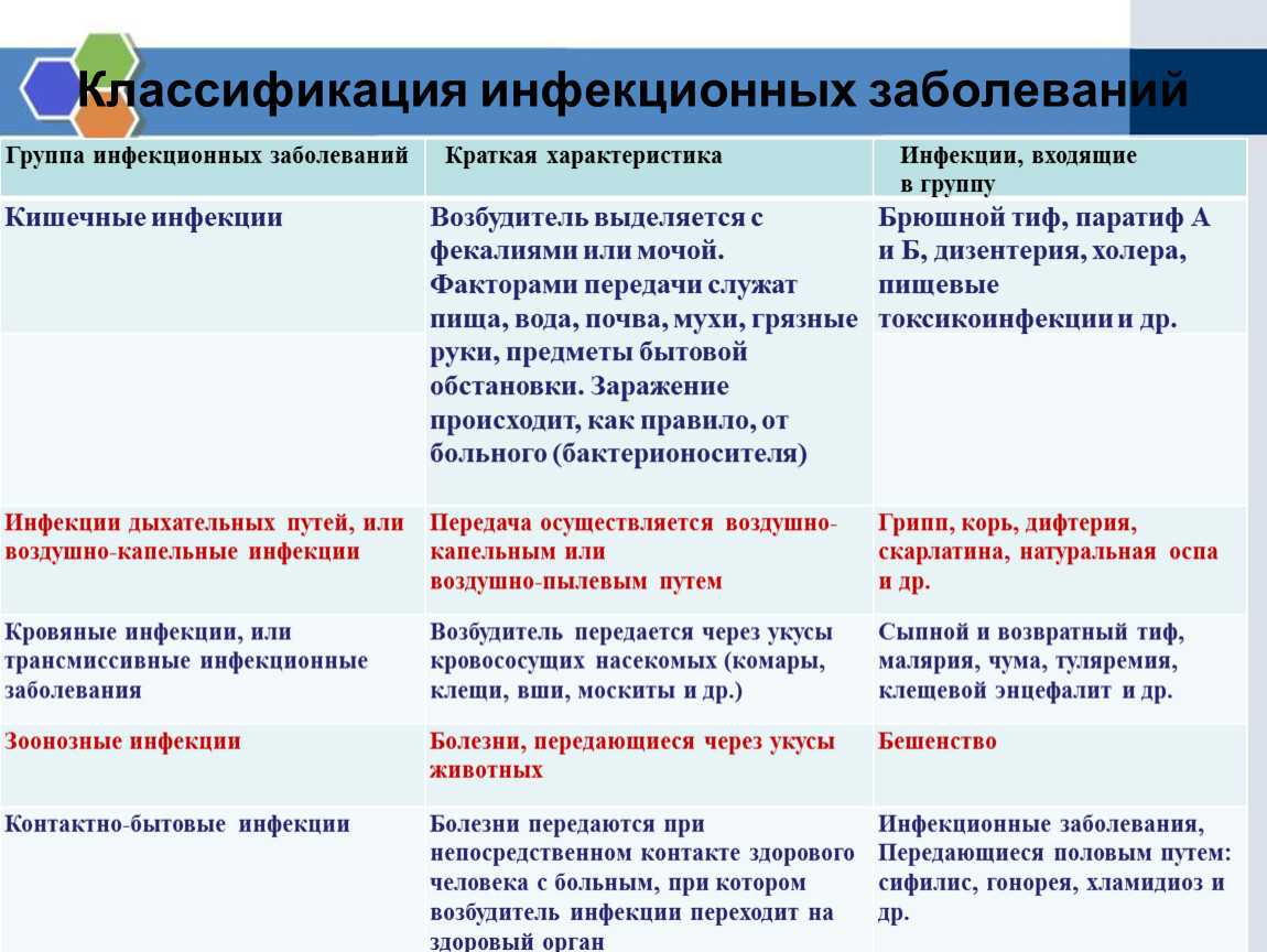 Нормоценоз у женщин: виды, состав микрофлоры, нарушение нормоценоза и его последствия