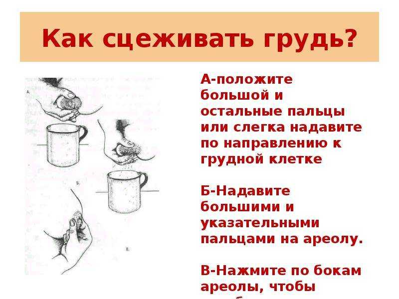 Для чего нужен молокоотсос и как им пользоваться