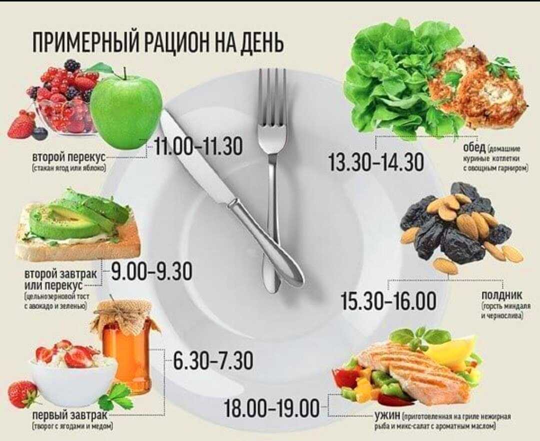 Можно ли есть грибы при беременности. польза и вред грибов во время беременности — беременность. беременность по неделям.