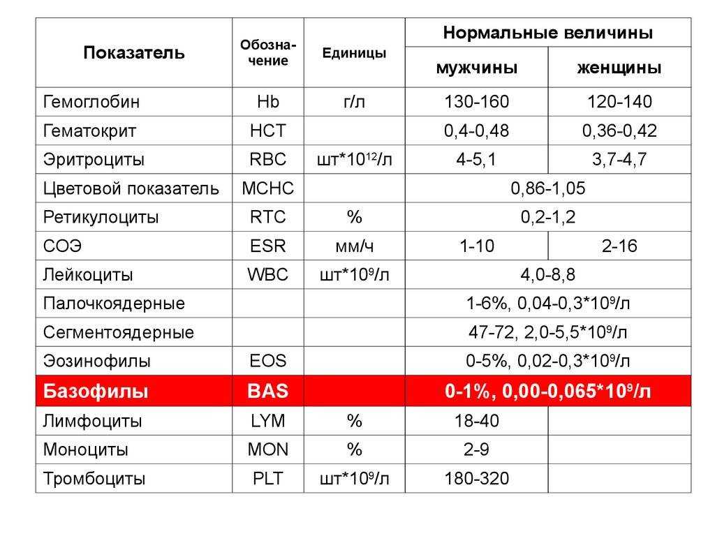 Нейтрофилы: норма у детей в крови по возрасту, причины отклонения показателя от нормативных значений