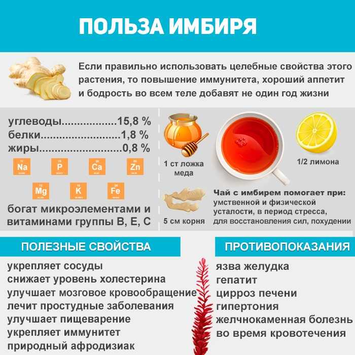 Полезные свойства и противопоказания имбиря