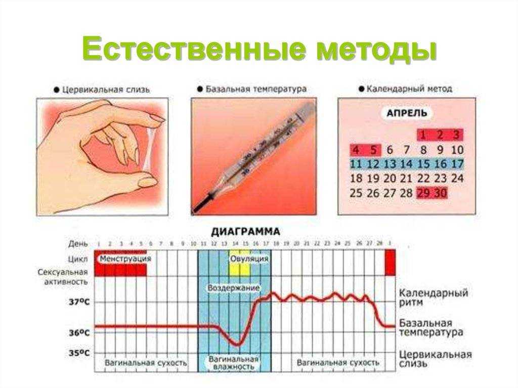 Как самостоятельно определить начало овуляции и не ошибиться - remedi