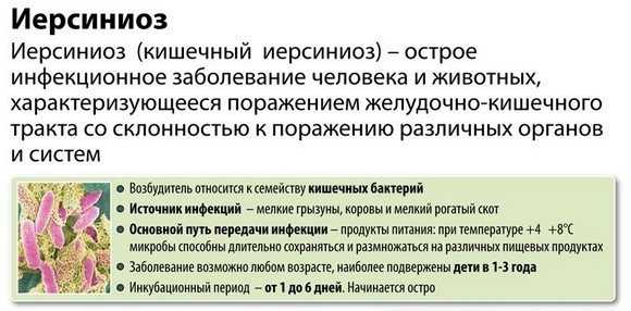 Йерсиниоз. постинфекционный аутоиммунный синдром йерсиниоза. носительство йерсинии с аутоиммунными проявлениями. лечение в клинике «эхинацея