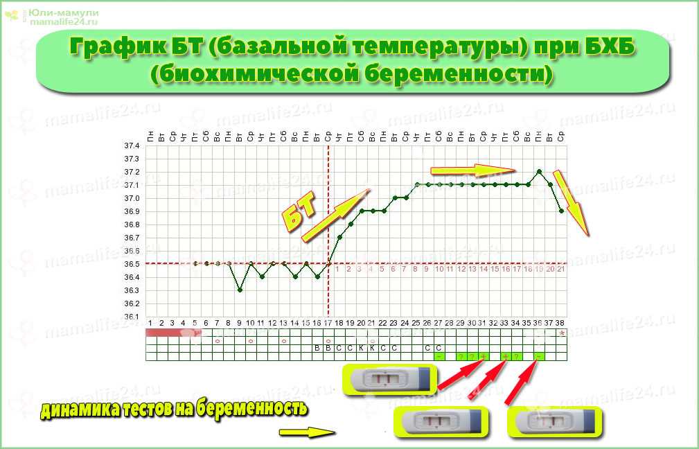 Биохимическая беременность – что это такое? причины, симптомы, лечение | аборт в спб