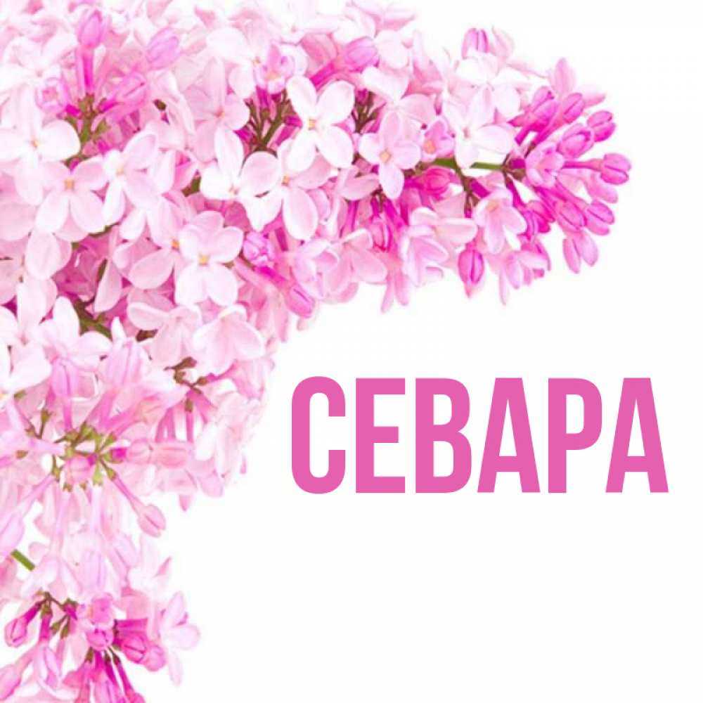 Севара - что озночает имя, севара значение имени, совместимость имени севара происхождение и полное имя севара