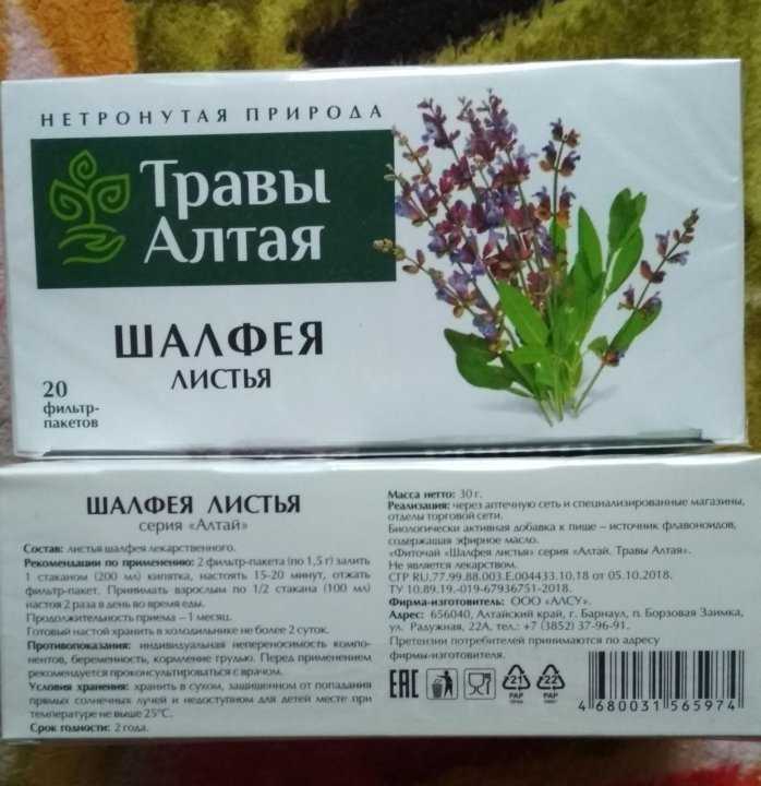 Шалфей — лечебные свойства и противопоказания при зачатии