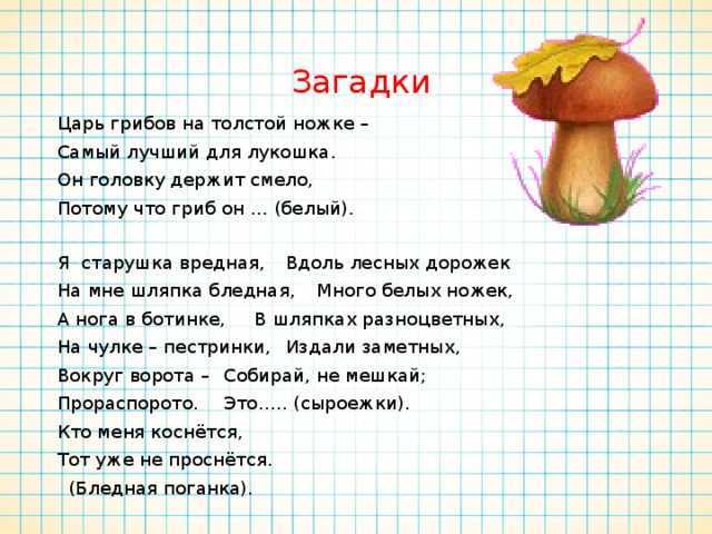 Загадки по сказкам с ответами для 1 – 2 класса