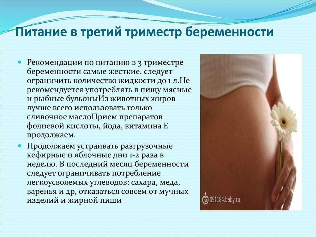 Беременность по триместрам