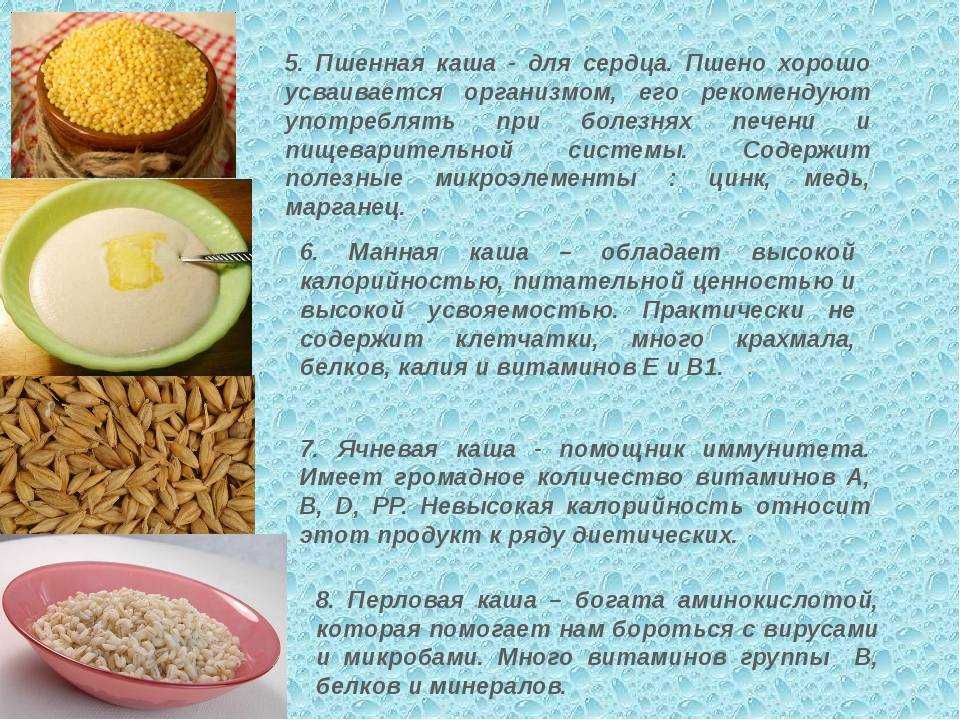 ✦ овсяное молоко ✦ польза и вред ✦ как приготовить ✦