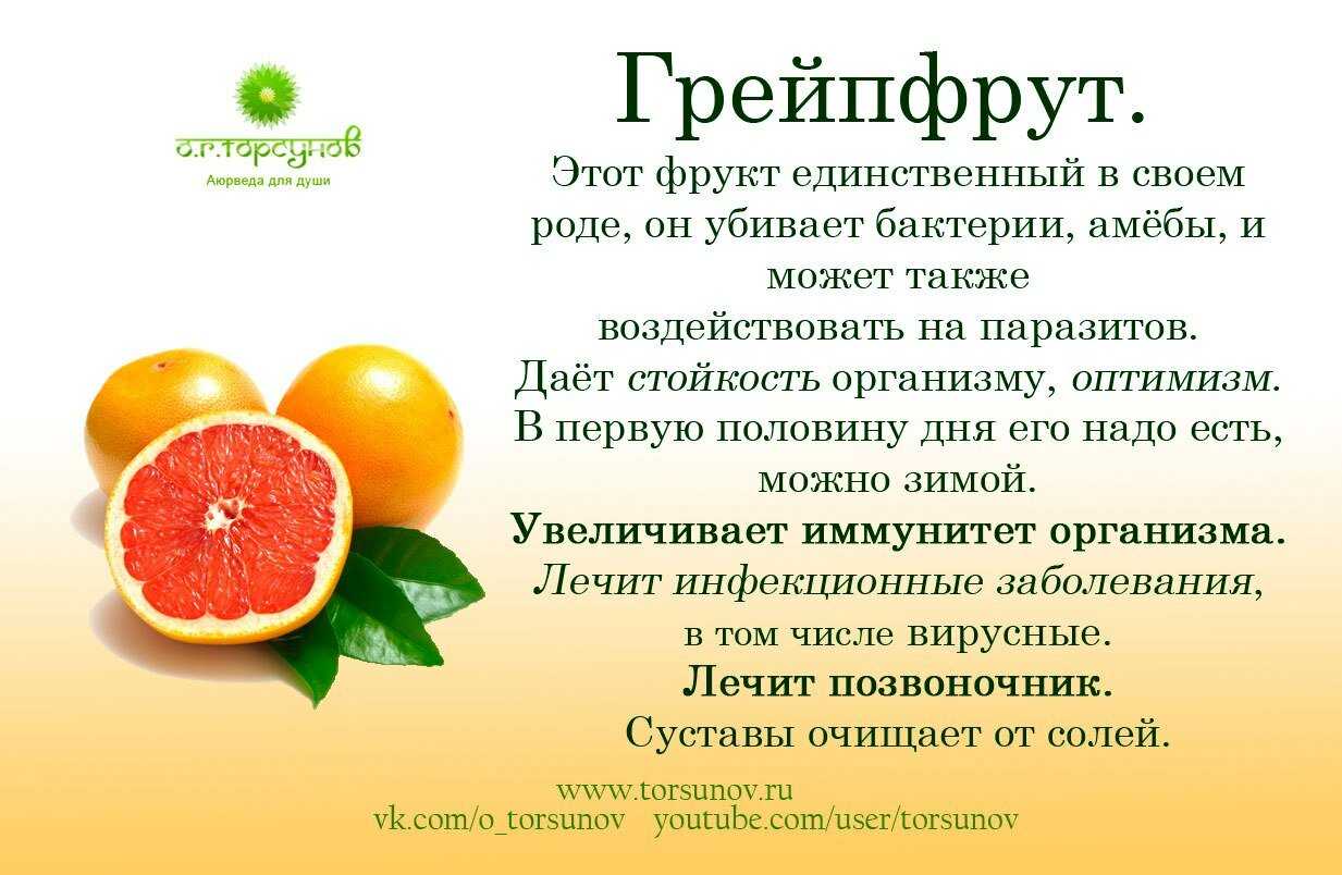 Джекфрут и дуриан - их полезные свойства для организма | realthouse