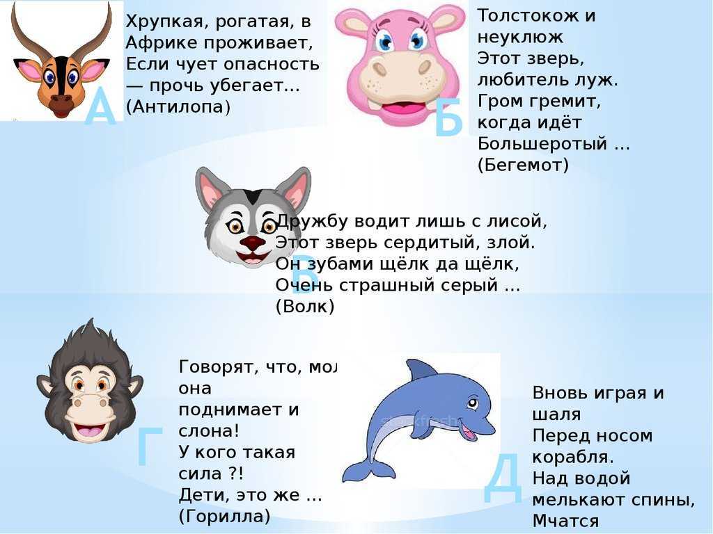 Загадки о диких животных россии для детей