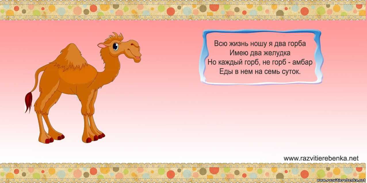 Загадки про акул с ответами - я happy мама