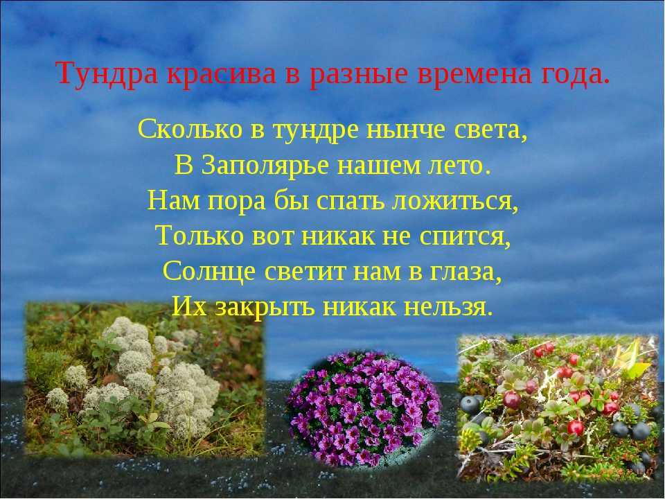 Загадки про природные зоны.очень нужно!!!!. кто не знает, это арктические пустыни, тундра, тайга, ст - узнавалка.про