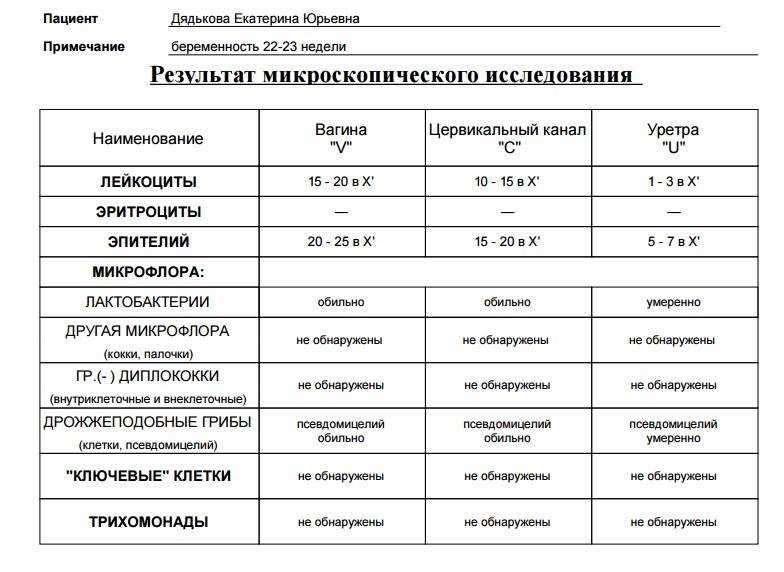 Норма микроскопического исследования мазка у женщин. Исследование мазка лейкоциты норма у женщин. Норма лейкоцитов в мазке на флору у женщин. Бактериологическое исследование мазков при беременности норма. Микробиологическое исследование мазка у женщин при беременности.