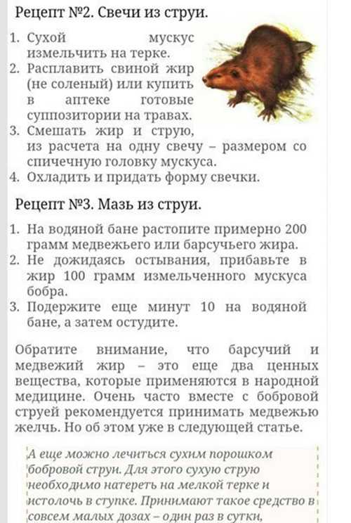 Бобровая струя: лечение струей бобра, как принимать