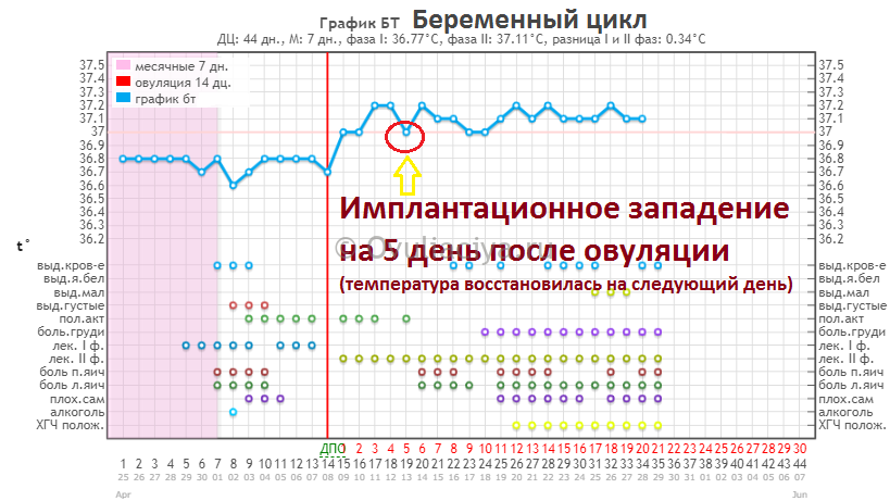 Что такое базальная температура при беременности? значение показателей, способы измерения, рекомендации | поликлиника +1