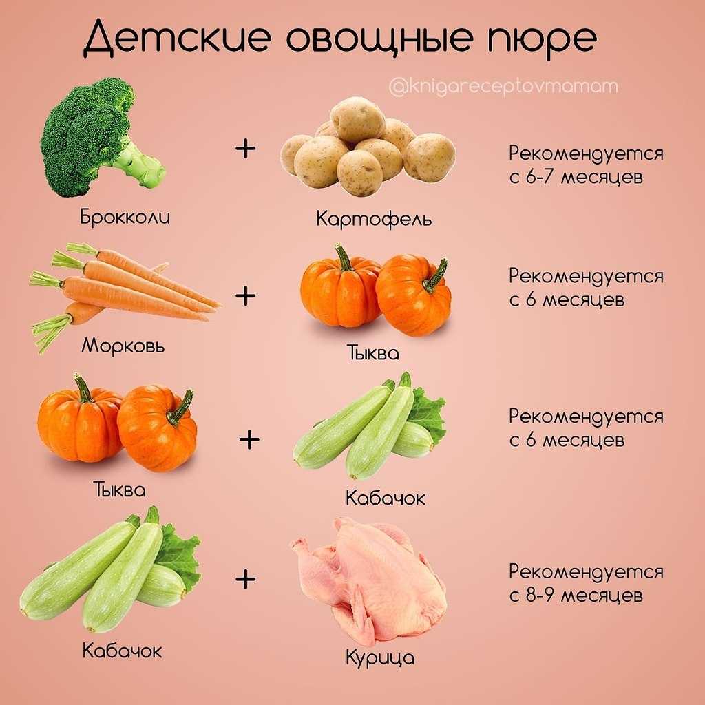 Тыква в прикорме и питании ребенка