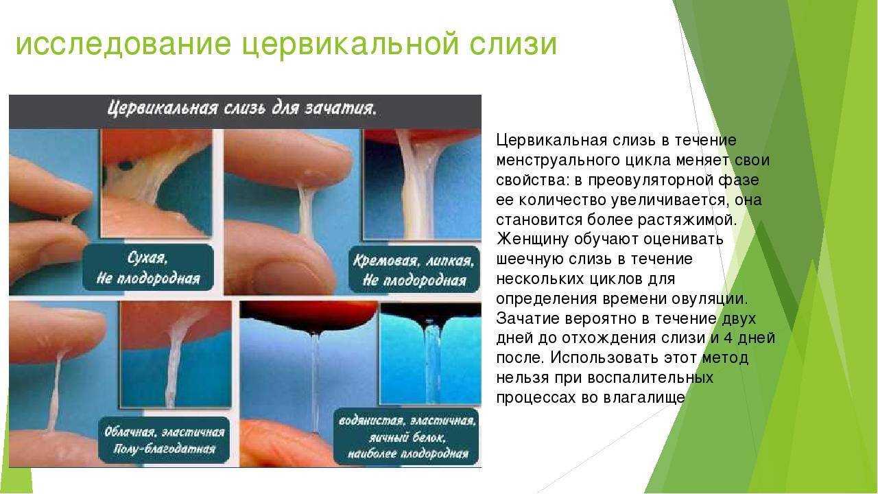 Выделения после выскабливания: скудные и обильные, сколько идут