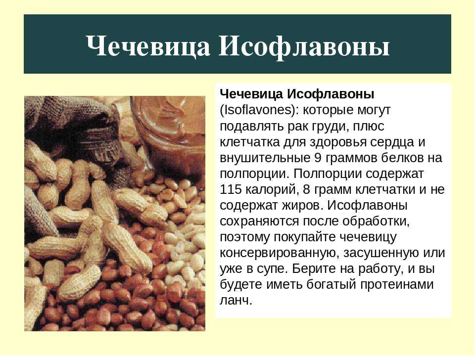 Чечевица для кормящей мамы. можно ли чечевицу при грудном вскармливании кормящей маме, рецепты блюд