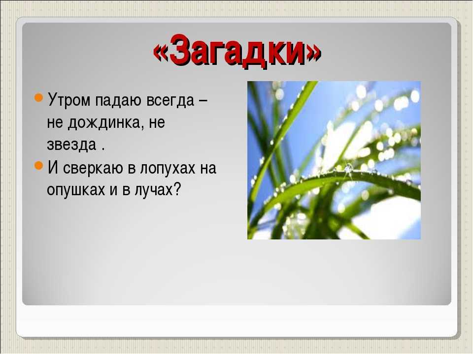 Загадки про урожай. самые классные загадки