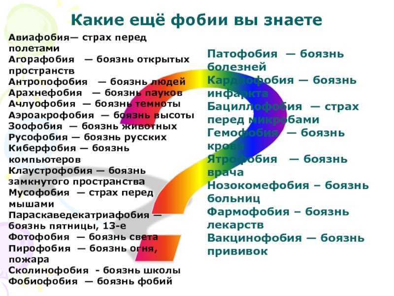 Арахнофобия: что это? (почему люди боятся пауков)