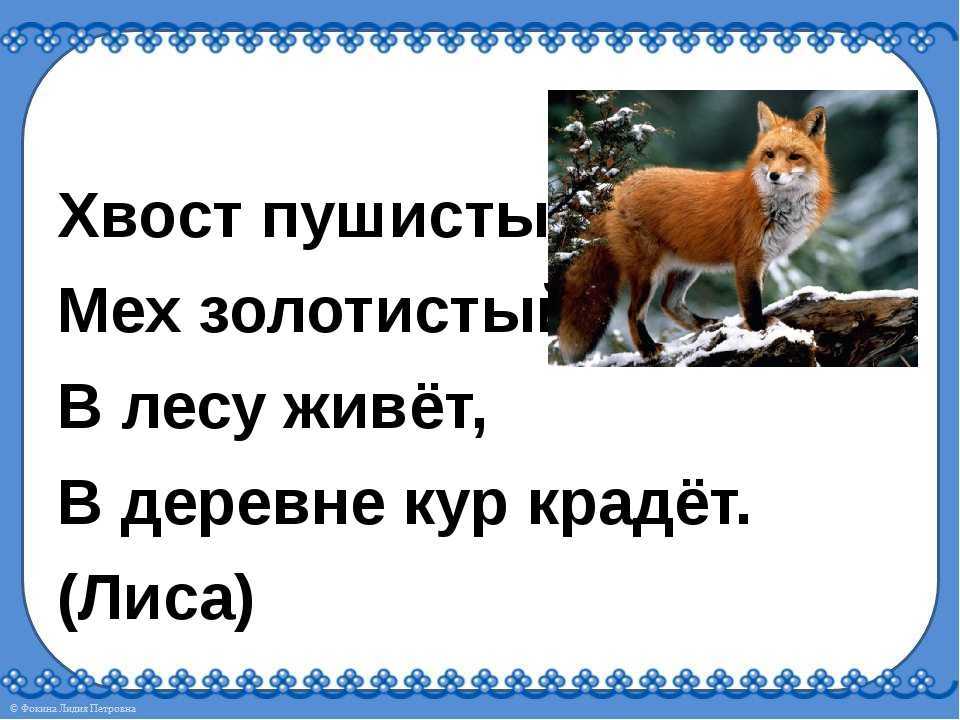 Конспект нод по развитию речи в средней группе
«путешествие по сказке заюшкина избушка» | дошкольное образование  | современный урок