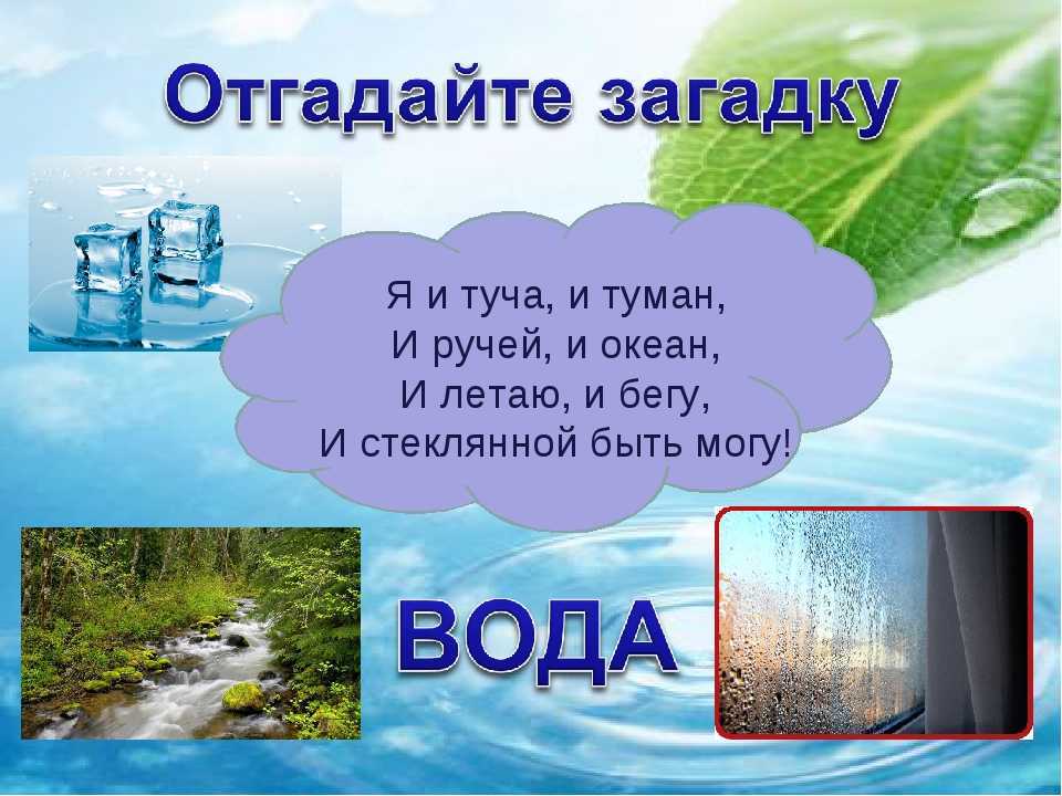 Загадки про реки и моря