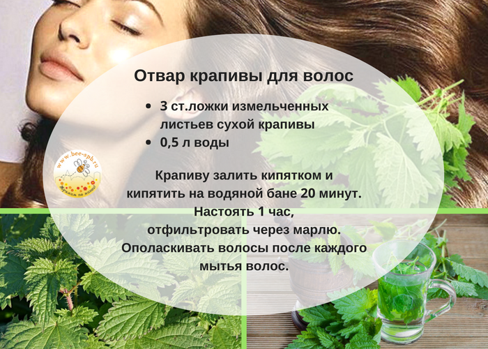 Как сделать натуральный спрей для роста волос: 5 домашних рецептов – счастливая женщина