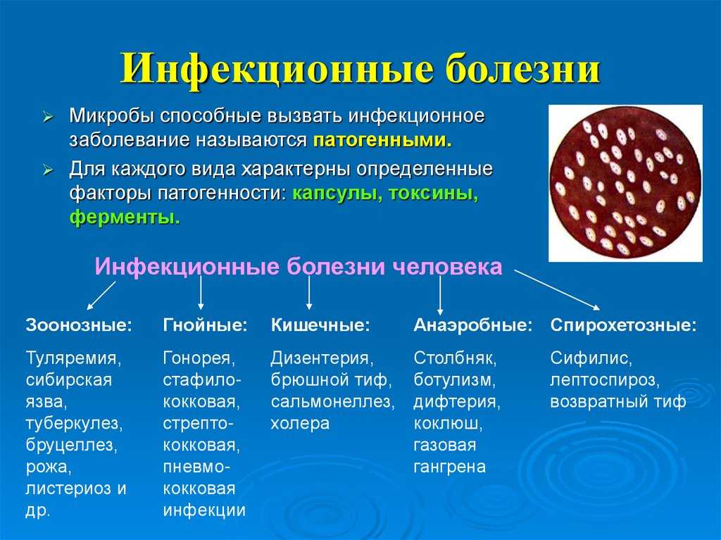 Кишечный и влагалищный микробиоценоз и его влияние на репродуктивное здоровье женщины