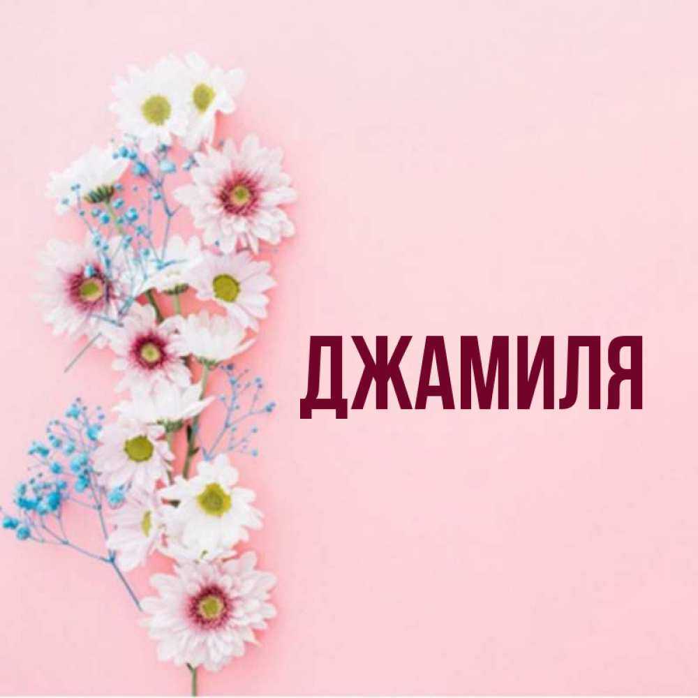 Значение имени джамиля: происхождение, судьба, характер, национальность, перевод, написание