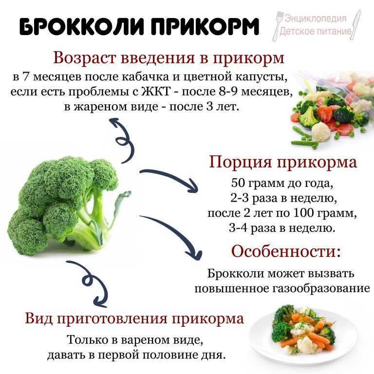 Пюре из кабачка для грудничка: рецепт первого прикорма (как приготовить, варить)