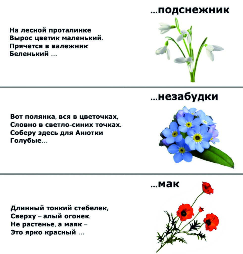 Загадки о растениях для 3 класса с ответами. окружающий мир