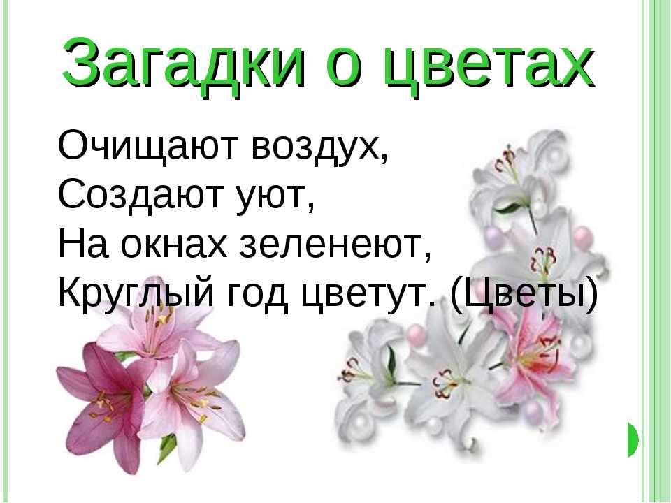 Загадки про растения для детей с ответами