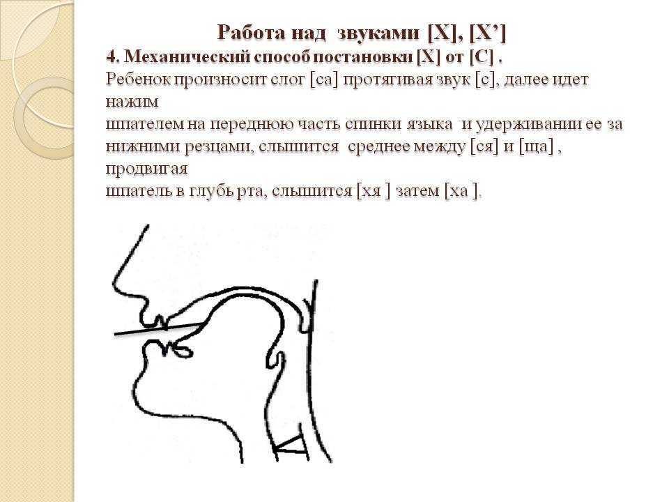 Логопедические упражнения на звук ш для ребенка