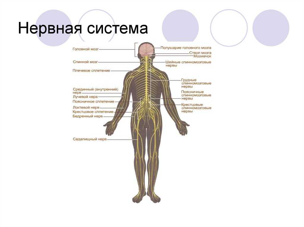 Загадки для детей