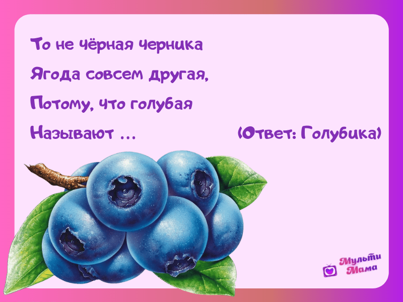 Загадки про деревья для детей с ответами