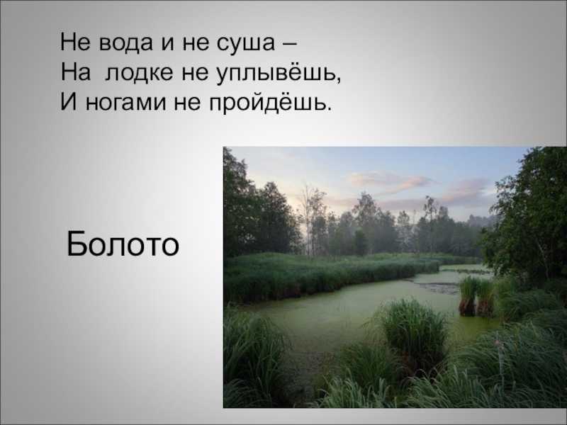 Загадки про еду с ответами для детей - читать и разгадывать онлайн
