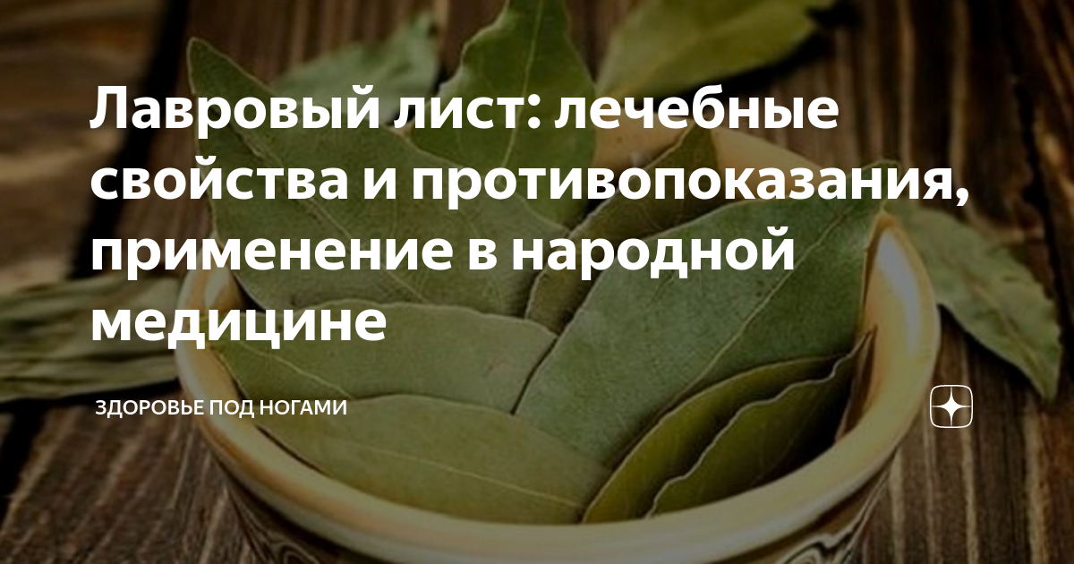 Лавровый лист польза и вред для организма женщины, мужчины
