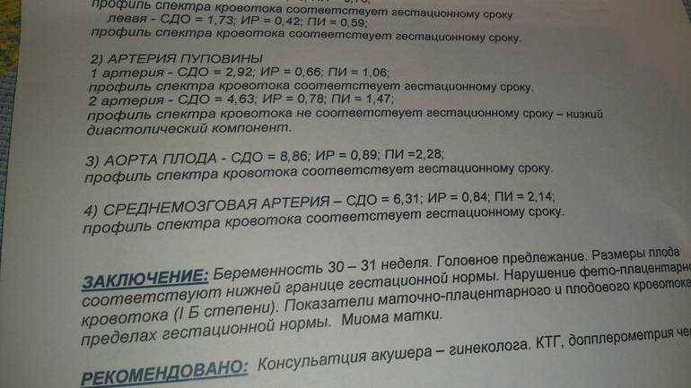 Дуплексное сканирование маточно-плацентарного кровотока | food and health