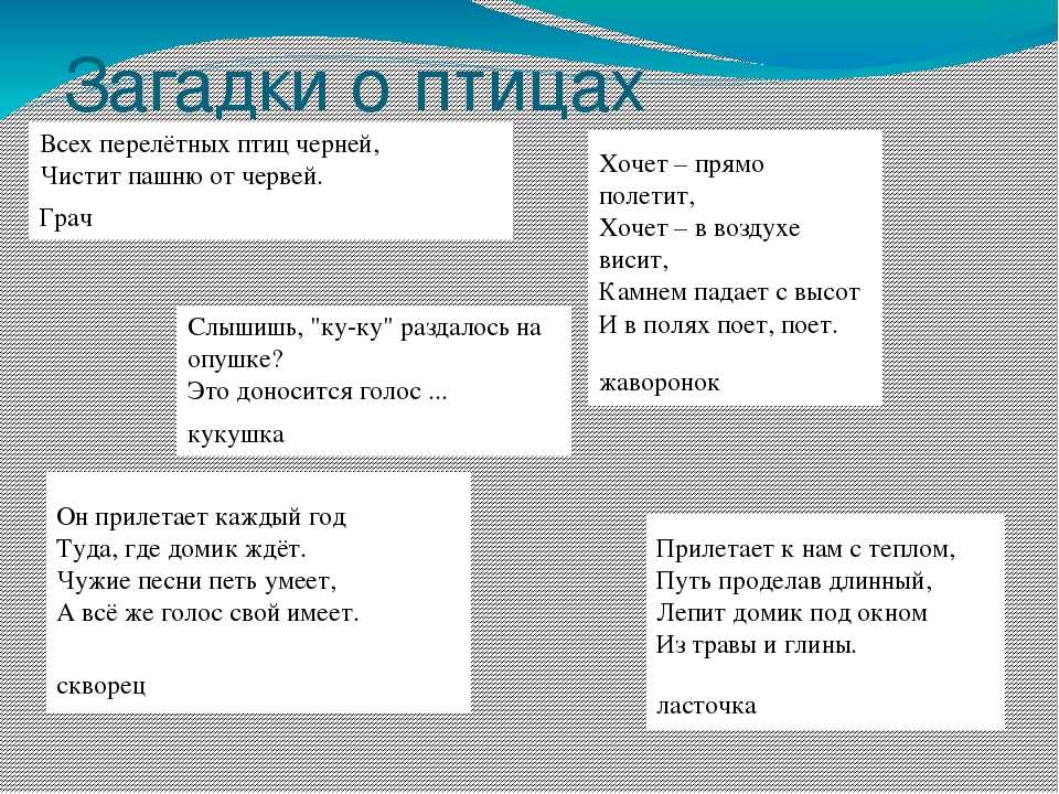 Загадки про птиц для детей - 130 крылатых загадок