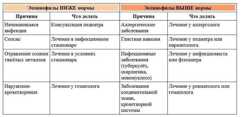 Эозинофилы: понятие, функции, нормы в крови, когда бывают повышены и понижены