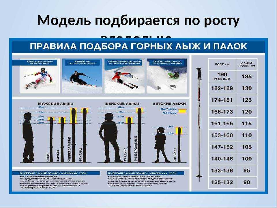 Как выбрать лыжи по росту: 5 полезных советов