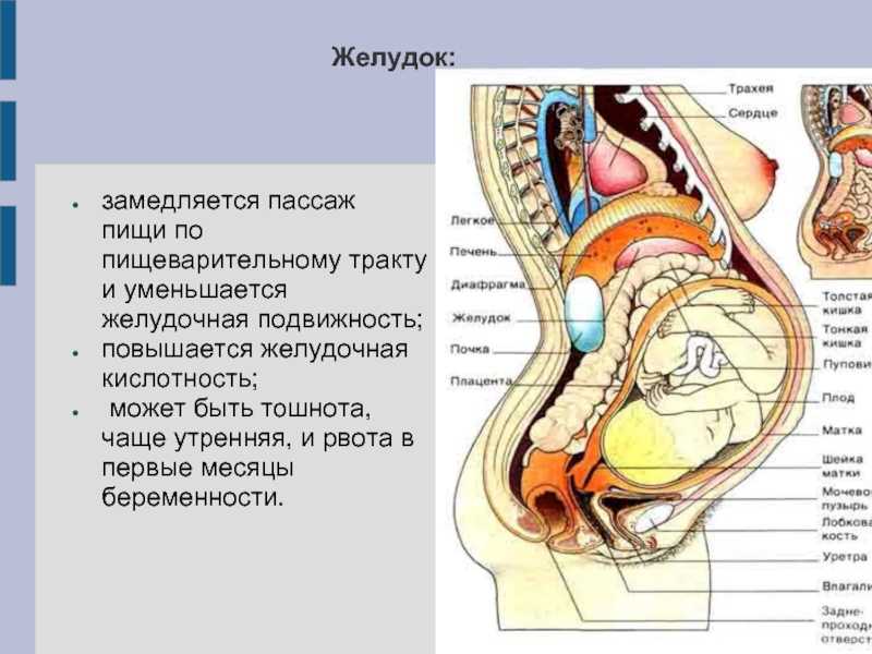 Как бороться с перееданием