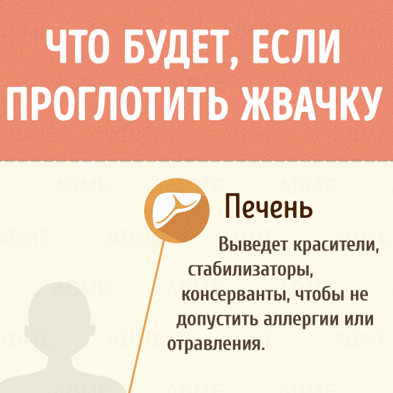 Что будет если проглотить жвачку. Что будет если съесть жвачку. Что делать если проглотил жвачку. Что будет если проглотить жвачку взрослому.