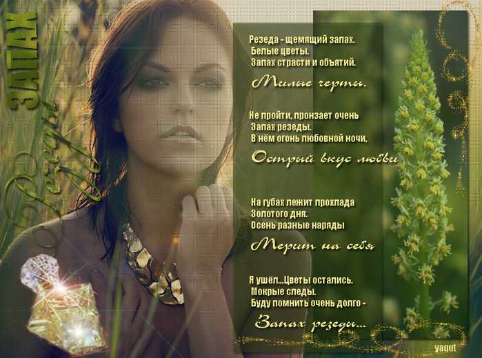 Значение имени дина: что означает, происхождение, характеристика и тайна имени