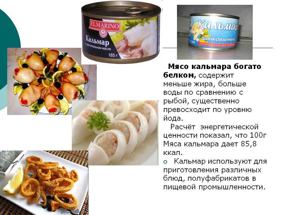 10 самых вкусных рецептов блюд из кальмаров